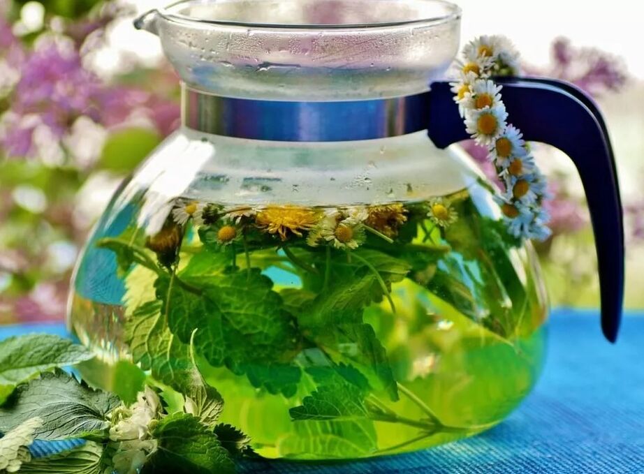 Infusion of collection of herbs from varicose veins